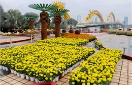 Phê duyệt nhiệm vụ lập quy hoạch thành phố Đà Nẵng