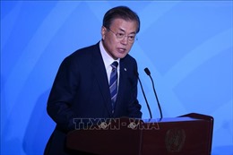 Tổng thống Hàn Quốc chỉ định trợ lý mới phụ trách các vấn đề chống tham nhũng