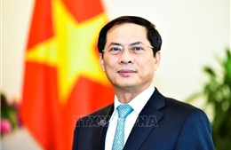 Việt Nam - Dấu ấn hội nhập, liên kết kinh tế quốc tế