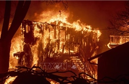 Cháy rừng ở California diễn biến nguy hiểm 