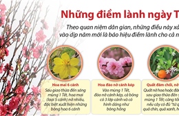 Những điềm lành ngày Tết