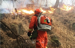 30 người thiệt mạng trong vụ cháy rừng tại Tứ Xuyên, Trung Quốc 