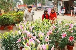 Tình hình ở xã Đồng Tâm đã ổn định, nhân dân vui xuân đón Tết