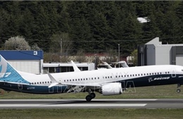 Boeing thừa nhận phải lùi thời điểm máy bay 737 MAX được cấp phép trở lại
