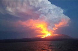 Núi lửa La Cumbre tại Ecuador &#39;tỉnh giấc&#39;, phun trào dung nham, khói bụi