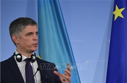 Ukraine tuyên bố sẽ linh hoạt trong vấn đề gia nhập NATO