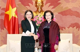 Chủ tịch Quốc hội  Nguyễn Thị Kim Ngân tiếp Đại sứ Australia