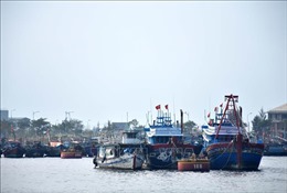 Đà Nẵng dự kiến lắp đặt xong thiết bị giám sát hành trình tàu cá trước ngày 15/3