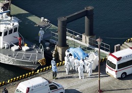 Thêm 60 ca nhiễm nCoV mới trên du thuyền Diamond Princess bị cách ly tại Nhật Bản