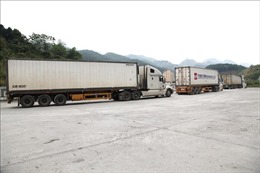 Tháo gỡ khó khăn cho hoạt động xuất nhập khẩu tại cửa khẩu