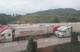 Tháo gỡ khó khăn về xuất nhập khẩu tại Lào Cai