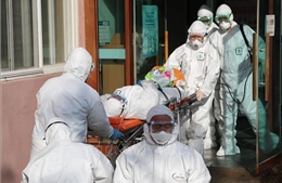 Dịch COVID-19: Hàn Quốc ghi nhận 8 ca tử vong, 833 ca nhiễm SARS-CoV-2 