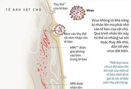 Cơ chế nhân lên của chủng virus corona mới (2019-nCoV)
