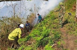 Lào Cai khống chế nhanh nhiều điểm cháy giáp ranh rừng