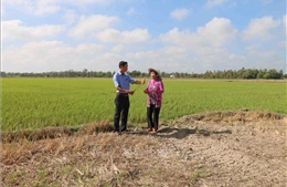 Trà Vinh hỗ trợ nông dân hơn 4 tỷ đồng chống hạn, mặn 