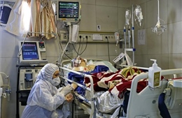 Iran ghi nhận thêm 43 ca tử vong do dịch COVID-19