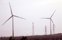 Nhà máy điện gió Bạc Liêu cán mốc sản lượng 1 tỷ KWh điện sạch