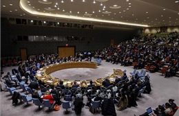 Dịch COVID-19: Liên hợp quốc rút ngắn thời gian tổ chức hội nghị về phụ nữ