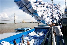 Từ 0 giờ ngày 25/4, mở hệ thống đăng ký tờ khai xuất khẩu gạo tồn tại cảng 