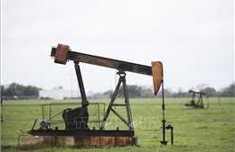 Xung quanh sự sụt giảm lịch sử xuống mức âm của giá dầu Mỹ