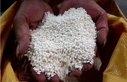 Tổng cục Hải quan gửi văn bản hỏa tốc hướng dẫn đăng ký tờ khai xuất khẩu gạo nếp