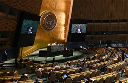 Đại hội đồng Liên hợp quốc thông qua nghị quyết thứ hai về dịch COVID-19