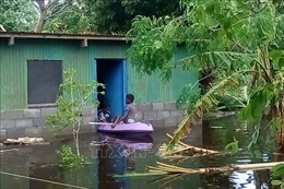 Fiji ban bố tình trạng thảm họa thiên nhiên sau bão Harold