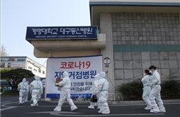 Hàn Quốc ngày thứ 3 liên tiếp duy trì số ca nhiễm mới virus SARS-CoV-2 dưới 30 người