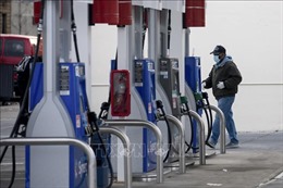 Giá dầu tiếp tục tăng nhờ nỗ lực cắt giảm nguồn cung của OPEC+