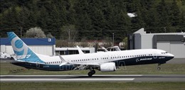 Sự cố máy bay Boeing 737 MAX: Không tiến hành bay thử trước tháng 6 