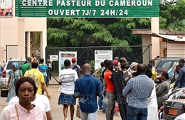 LHQ cung cấp hỗ trợ phòng dịch COVID-19 cho 450.000 người di cư ở Cameroon