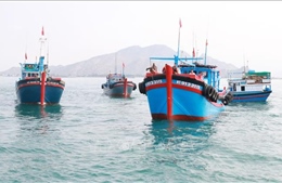 Phê duyệt Đề án hợp tác quốc tế về phát triển bền vững kinh tế biển Việt Nam