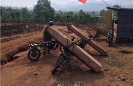 Thủ tướng Chính phủ yêu cầu xử lý nghiêm hoạt động phá rừng tại Kon Tum