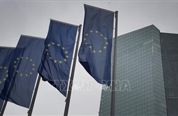 EU cần đoàn kết để hỗ trợ các ngân hàng vượt qua cuộc khủng hoảng COVID-19