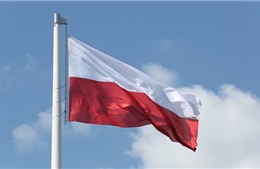 Điện mừng nhân kỷ niệm lần thứ 229 Quốc khánh nước Cộng hòa Ba Lan 