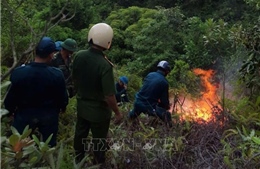Cơ bản dập tắt đám cháy rừng ở núi Sọ, khoảng 10 ha rừng, cây bụi bị thiêu rụi
