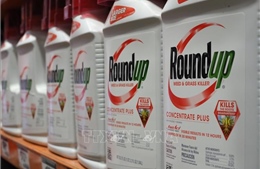 Monsanto tiếp tục kháng cáo bất thành trong vụ kiện thuốc diệt cỏ Roundup