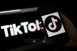 Nền tảng mạng xã hội TikTok tham gia Bộ Quy tắc ứng xử của EU