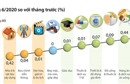 CPI tháng 6/2020 tăng 0,66%