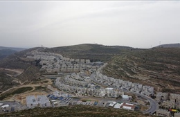 Các phe phái Palestine kêu gọi chống lại kế hoạch sáp nhập đất đai của Israel