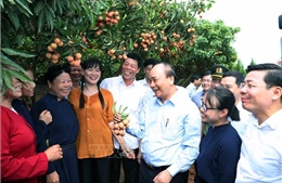 Thủ tướng Nguyễn Xuân Phúc thăm &#39;Vườn quả Bác Hồ&#39; ở Bắc Giang