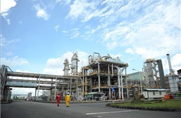 PVCFC đặt mục tiêu sản xuất hơn 1 triệu tấn phân bón