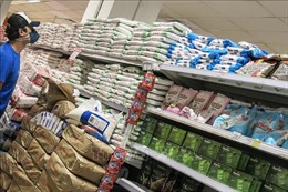 FAO: Giá lương thực, thực phẩm thế giới tăng lần đầu tiên trong năm nay