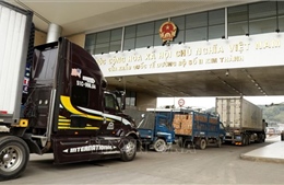 Giám sát chất lượng và chủ động phối hợp với đối tác khi xuất khẩu sang Trung Quốc