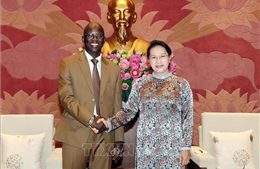Chủ tịch Quốc hội tiếp Giám đốc quốc gia Ngân hàng Thế giới tại Việt Nam