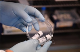 Chính phủ Anh tài trợ thử nghiệm vaccine ngừa virus SARS-CoV-2 trên người