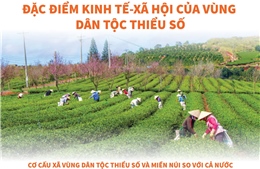 Đặc điểm kinh tế - xã hội của vùng dân tộc thiểu số