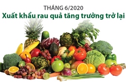 Tháng 6, xuất khẩu rau quả tăng trưởng trở lại