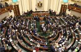 63 triệu cử tri Ai Cập đủ tư cách đi bầu cử Thượng viện