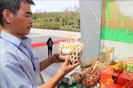 Quảng bá, giới thiệu sản phẩm gà tại Bình Định